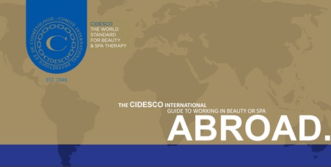 Cidesco Abroad STORY